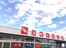スギドラッグ 剣崎店