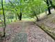 山崎公園の画像