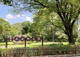 武蔵野公園の画像