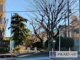 新川西公園の画像