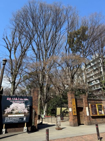 六義園 染井門の画像2