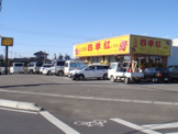 四季紅　結城店