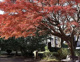御幣公園の画像