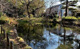 つりがね池公園の画像