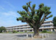 桐生市立境野小学校の画像