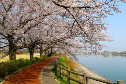 砂沼広域公園の画像1