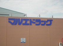 マルエドラッグ 前橋天川原店