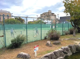 住吉公園テニスコート