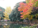 和田堀公園の画像