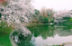 立野台公園の画像