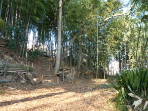 19号前畑緑地の画像1
