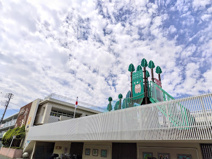 幼稚園 認定こども園湘南マドカ幼稚園