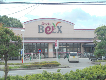 ベルクス岩槻城北店の画像1