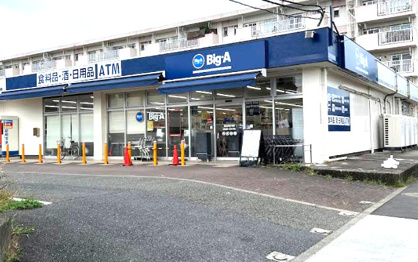ビッグ・エー烏山北住宅店の画像1