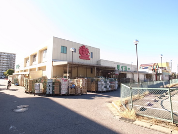タイヨーの画像1