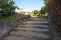 しんめい公園
