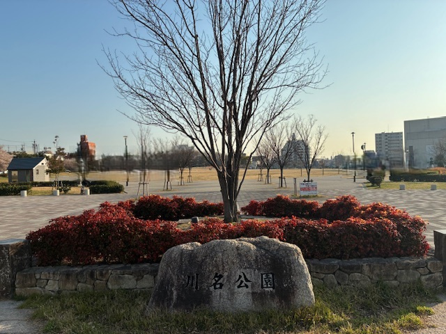 の画像