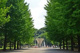 赤塚公園の画像