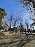 青山公園(北地区)