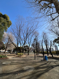 青山公園(北地区)の画像1