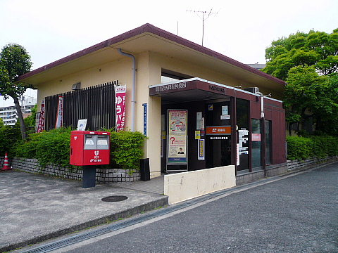 の画像