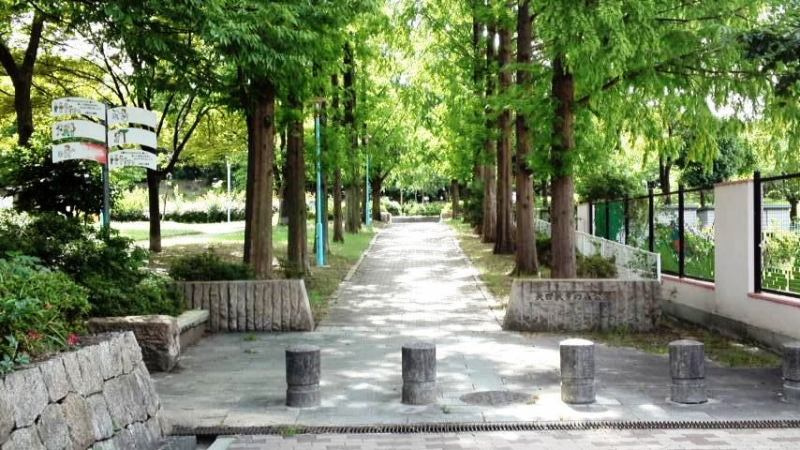 の画像