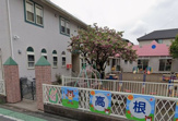 高根保育園