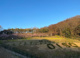 大磯運動公園の画像