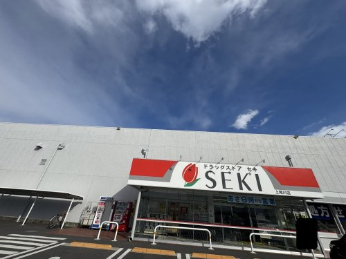 ドラックストアSEKI上尾川店