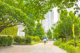 玉川上水旧水路 笹塚緑道の画像