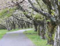 越生町運動公園