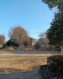 公園 ひだまり公園