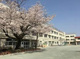 世田谷区立奥沢小学校の画像