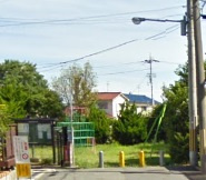 の画像