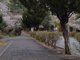 上荒川公園の画像