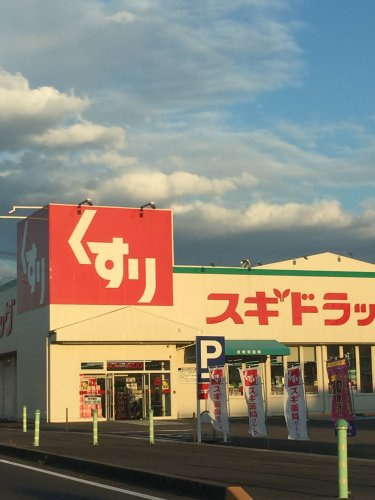 の画像