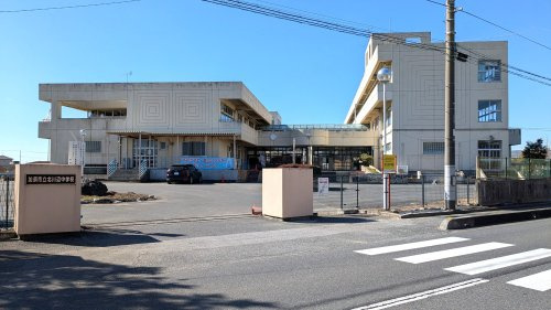 の画像