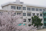尼崎市立 金楽寺小学校