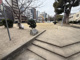 阿弥陀池公園の画像