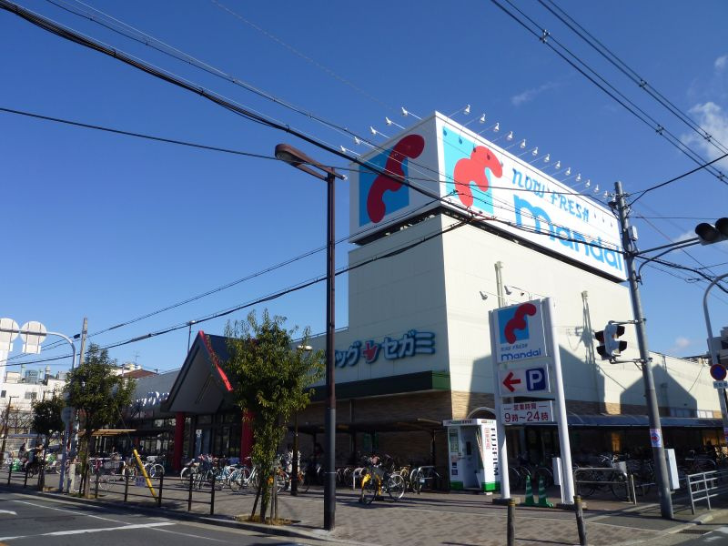 の画像