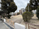 九条南公園の画像