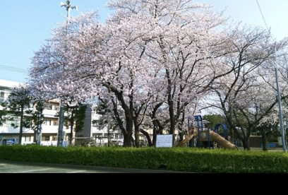 稲荷久保公園の画像1
