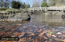 入西公園
