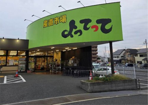 の画像