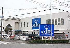 の画像