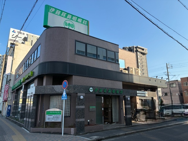 の画像
