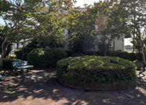 入口公園
