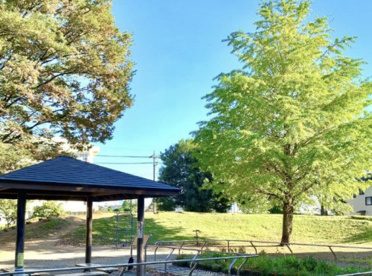 森戸上川原公園の画像1