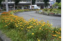 北坂戸かけはし公園