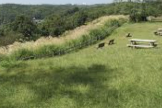 小山熊野緑地公園の画像1